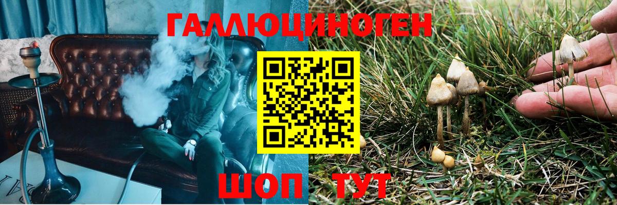 Псилоцибиновые грибы Psilocybine cubensis  Вход с VPN  Ишим  Псилоцибиновые грибы ЛСД 